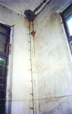 分飞孔在二楼墙角顶上其大主巢在一楼楼梯底下