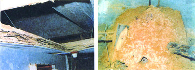 夹心板墙与顶层天花板上的台湾乳白蚁巢