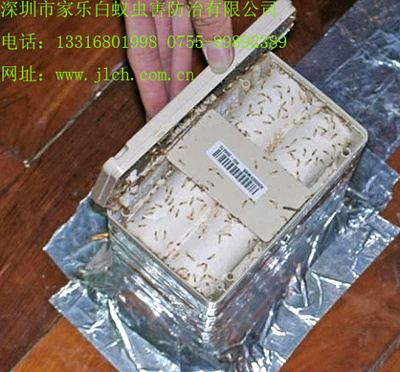 白蚁诱杀装置